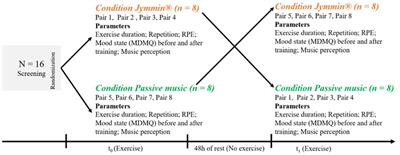 Musical feedback system Jymmin® leads to enhanced physical endurance in the elderly—A feasibility study
